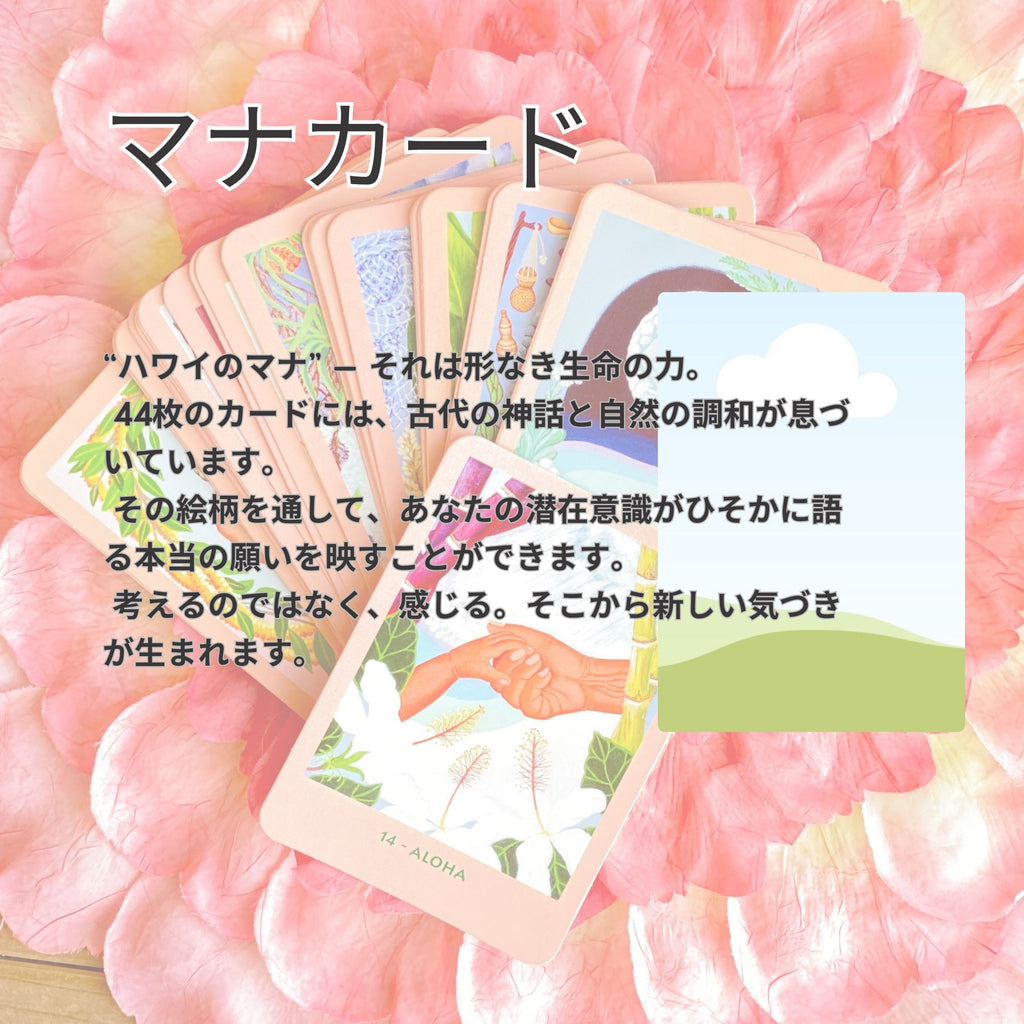 マナカード×アウイセッション